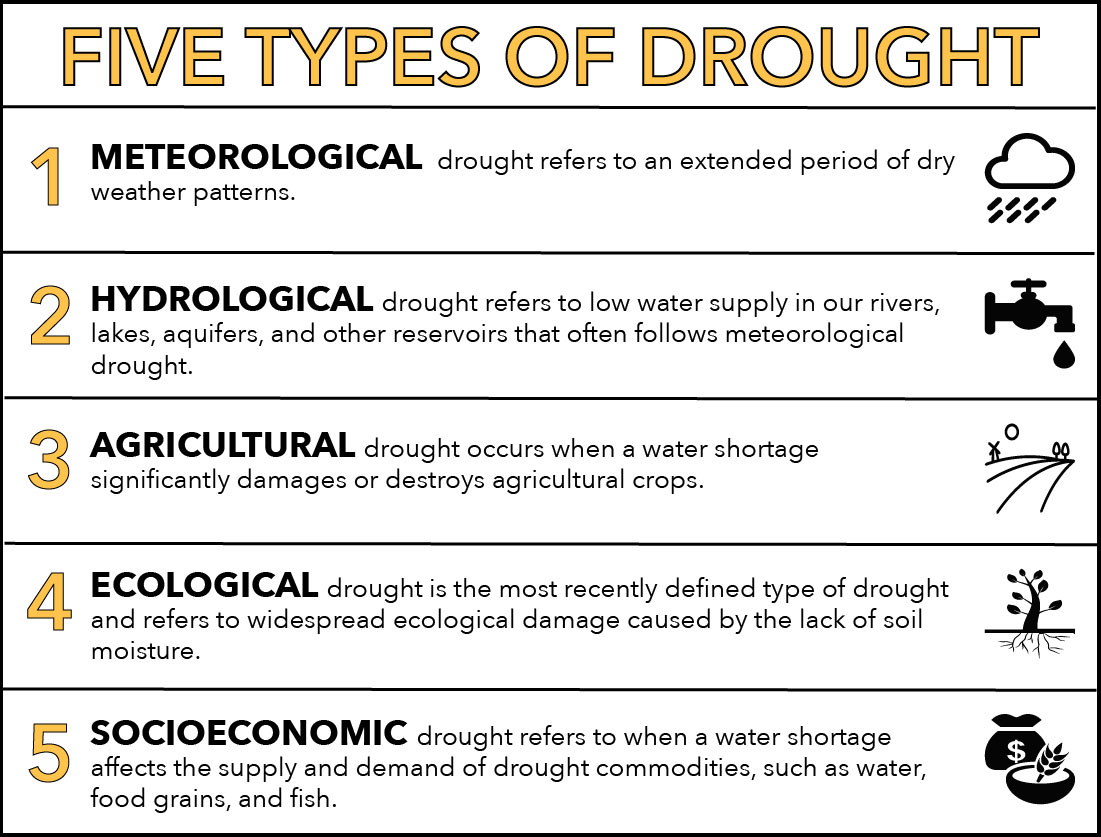 drought essay pdf grade 11