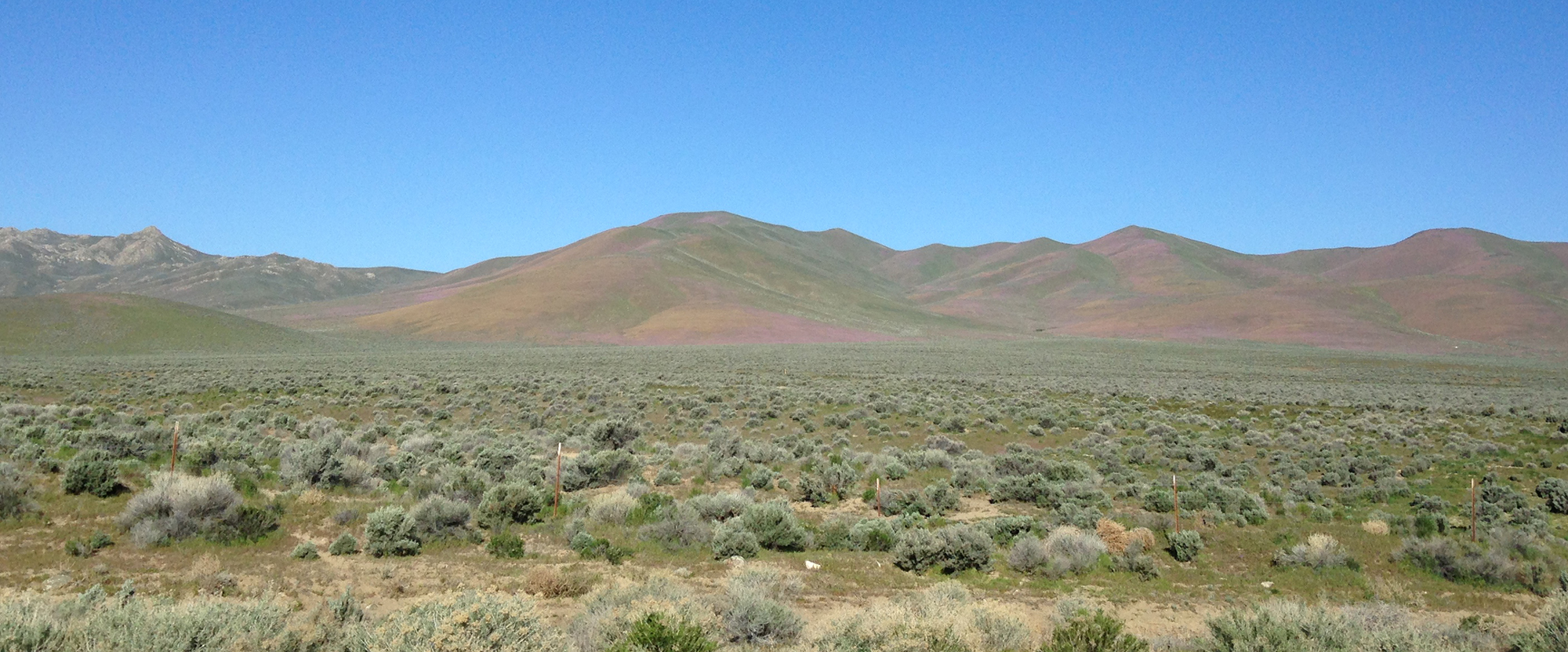 Great Basin Landscape
